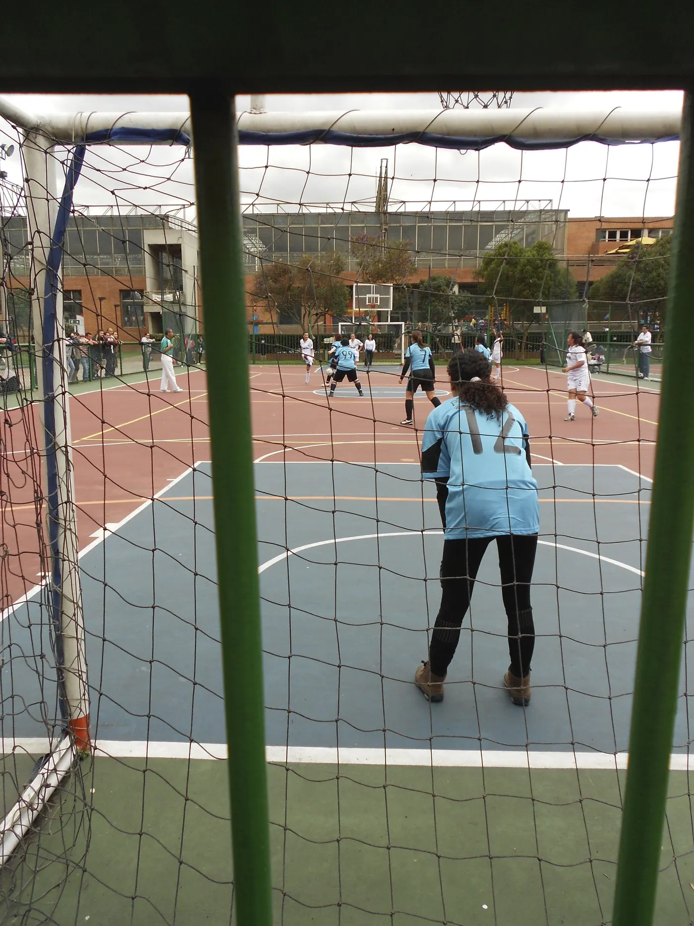 Ethnographic research in the field